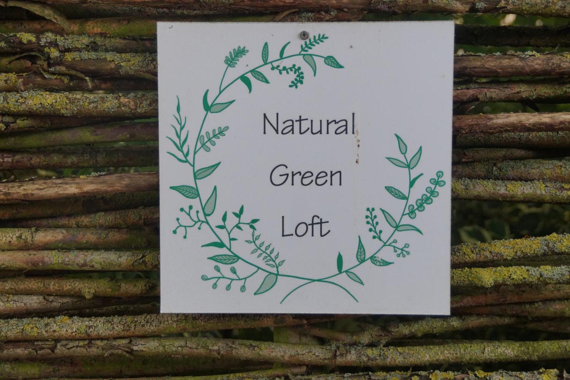 Natural Green Loft Bergen Bagian luar foto